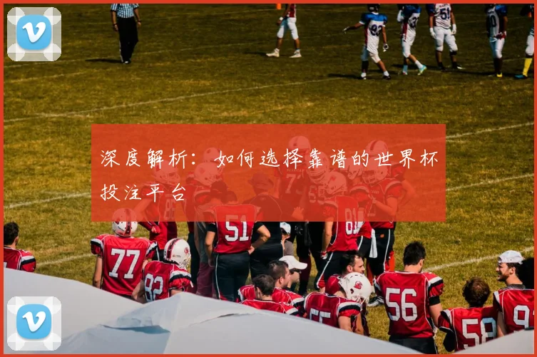 深度解析：如何选择靠谱的世界杯投注平台