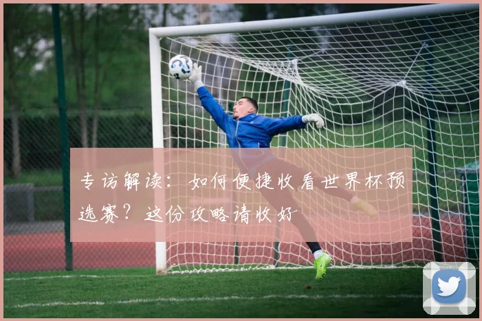 专访解读：如何便捷收看世界杯预选赛？这份攻略请收好