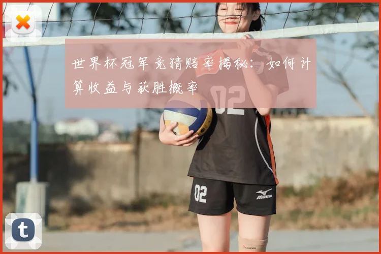 世界杯冠军竞猜赔率揭秘：如何计算收益与获胜概率