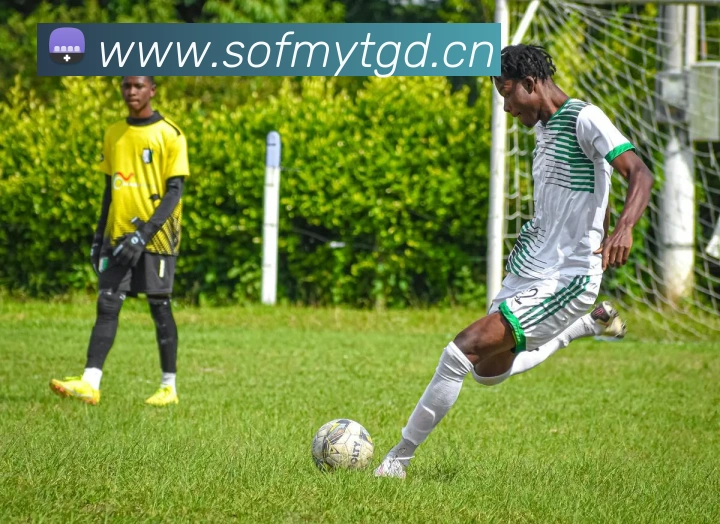 数据防护可视化